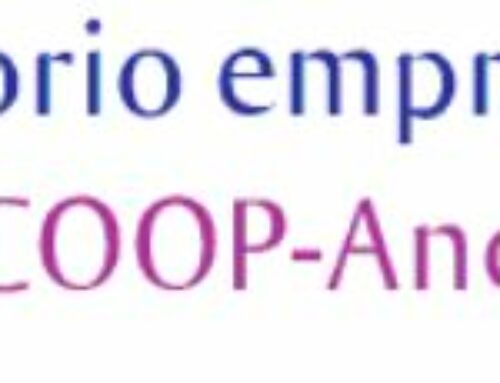 Directorio Empresarial AMECOOP